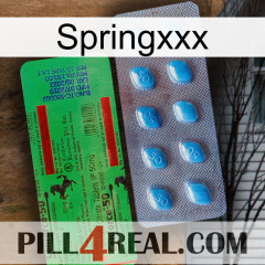 Springxxx new03